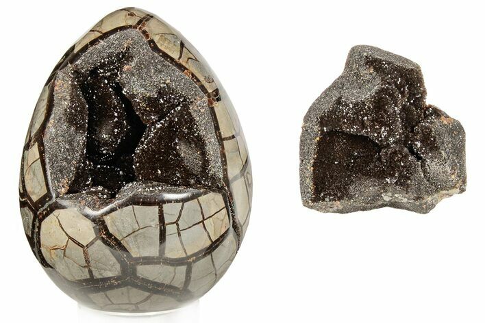 7.9" Septarian "Dragon Egg" Geode - Removable Section